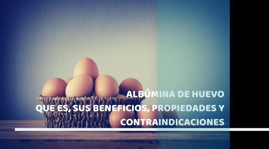 Albúmina de huevo Que es, sus beneficios, propiedades y contraindicaciones