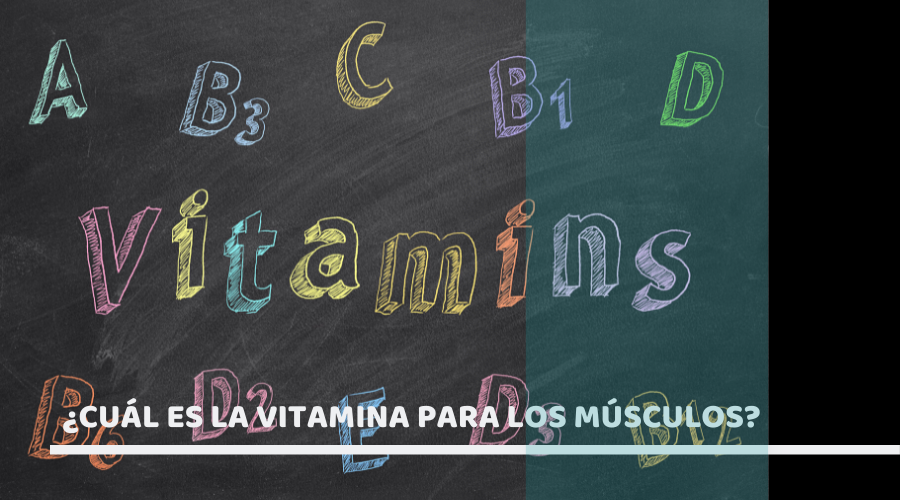 ¿Cuál es la vitamina para los músculos?